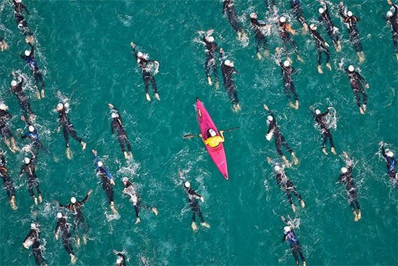 The HR managers’ role in digital transformation